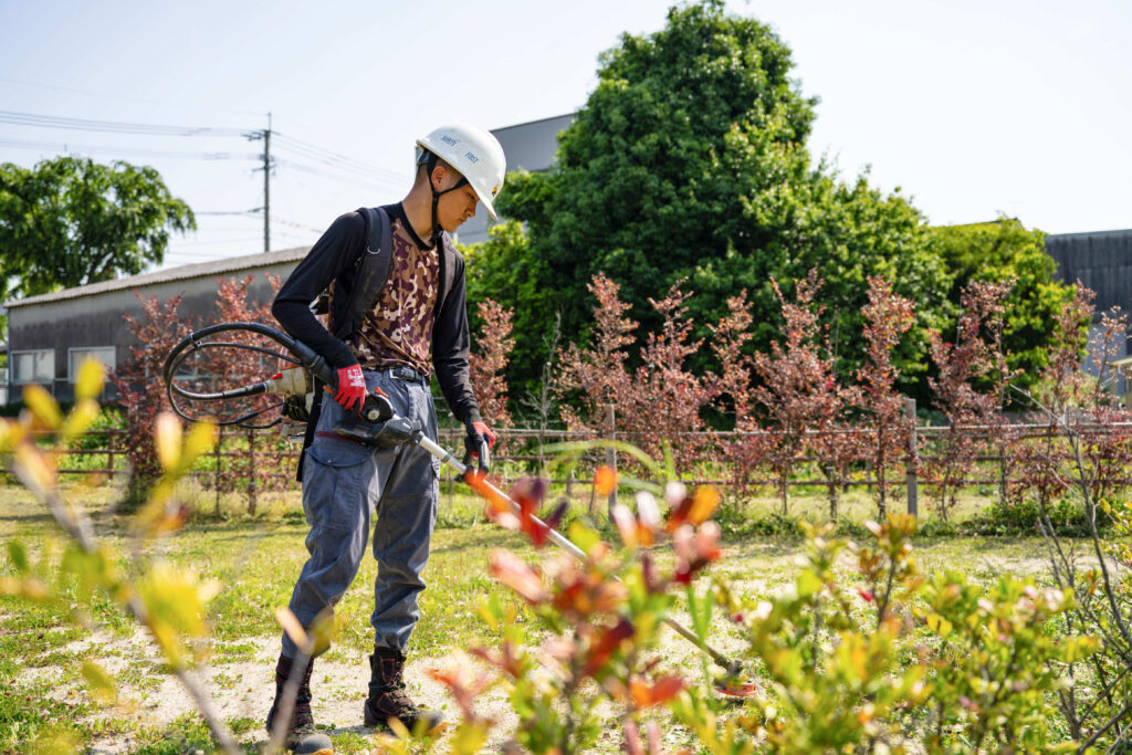 環境を美しく整え、街を豊かに